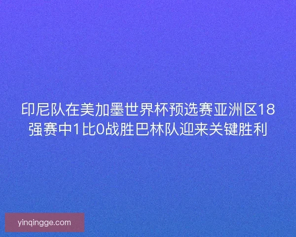 印尼队在美加墨世界杯预选赛亚洲区18强赛中1比0战胜巴林队迎来关键胜利